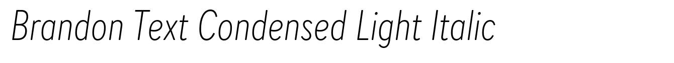 Brandon Text Condensed Light Italic image